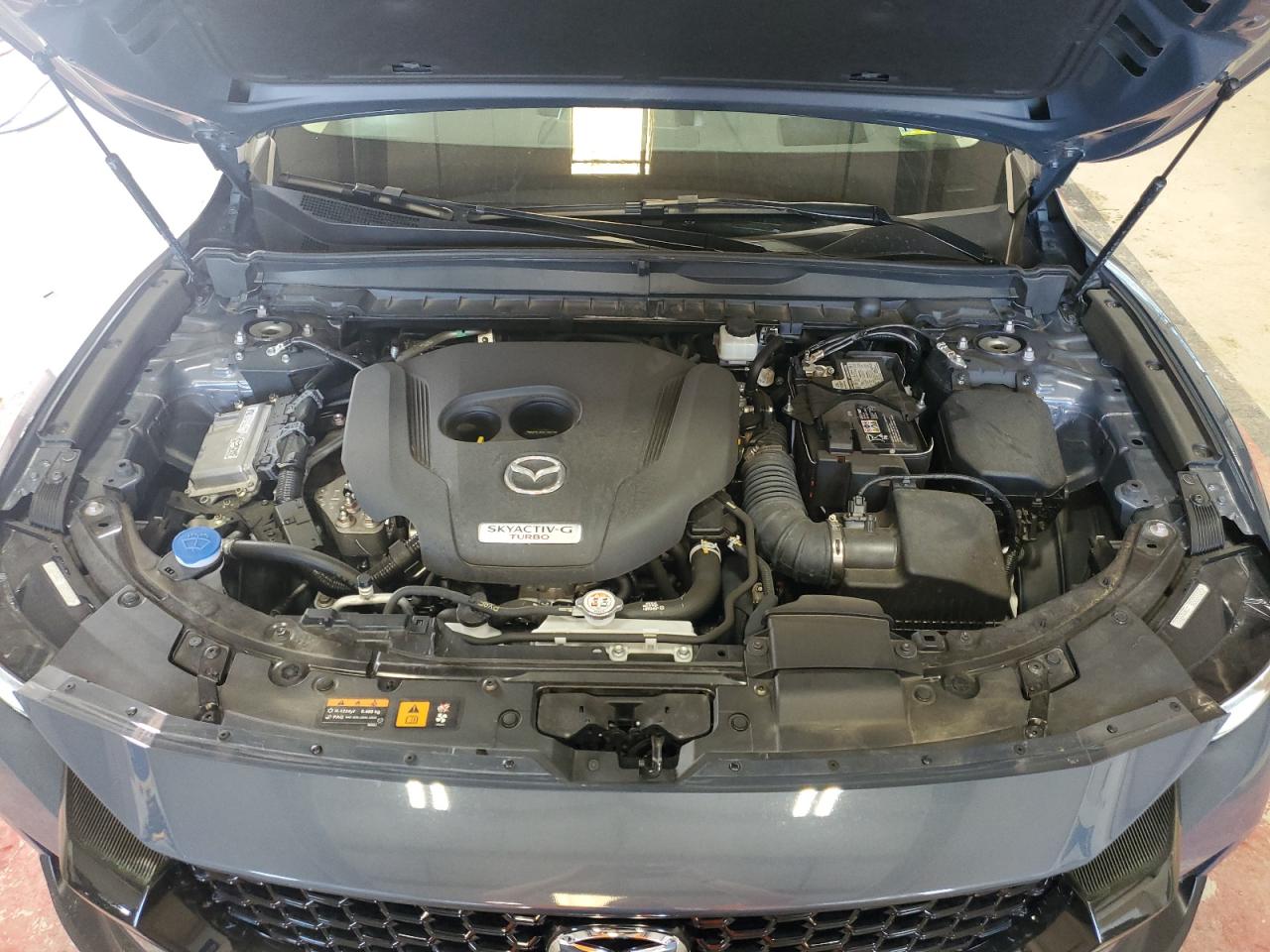 2024 Mazda Cx-50 Premium Plus VIN: 7MMVABEY3RN189062 Lot: 60295625