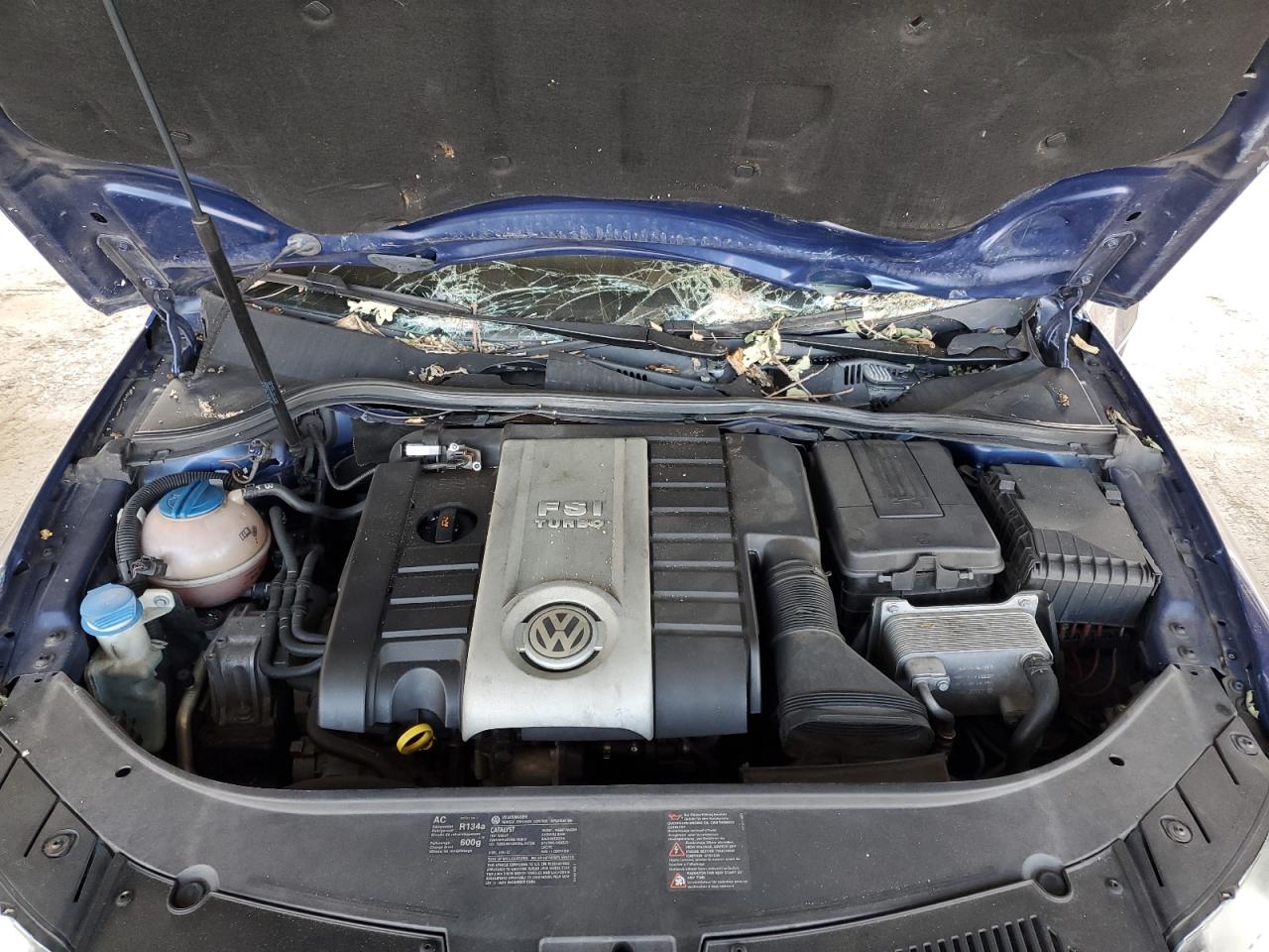 2008 Volkswagen Passat Turbo VIN: WVWJK73C48P096134 Lot: 60171025