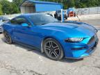 2019 Ford Mustang  na sprzedaż w Rogersville, MO - Hail