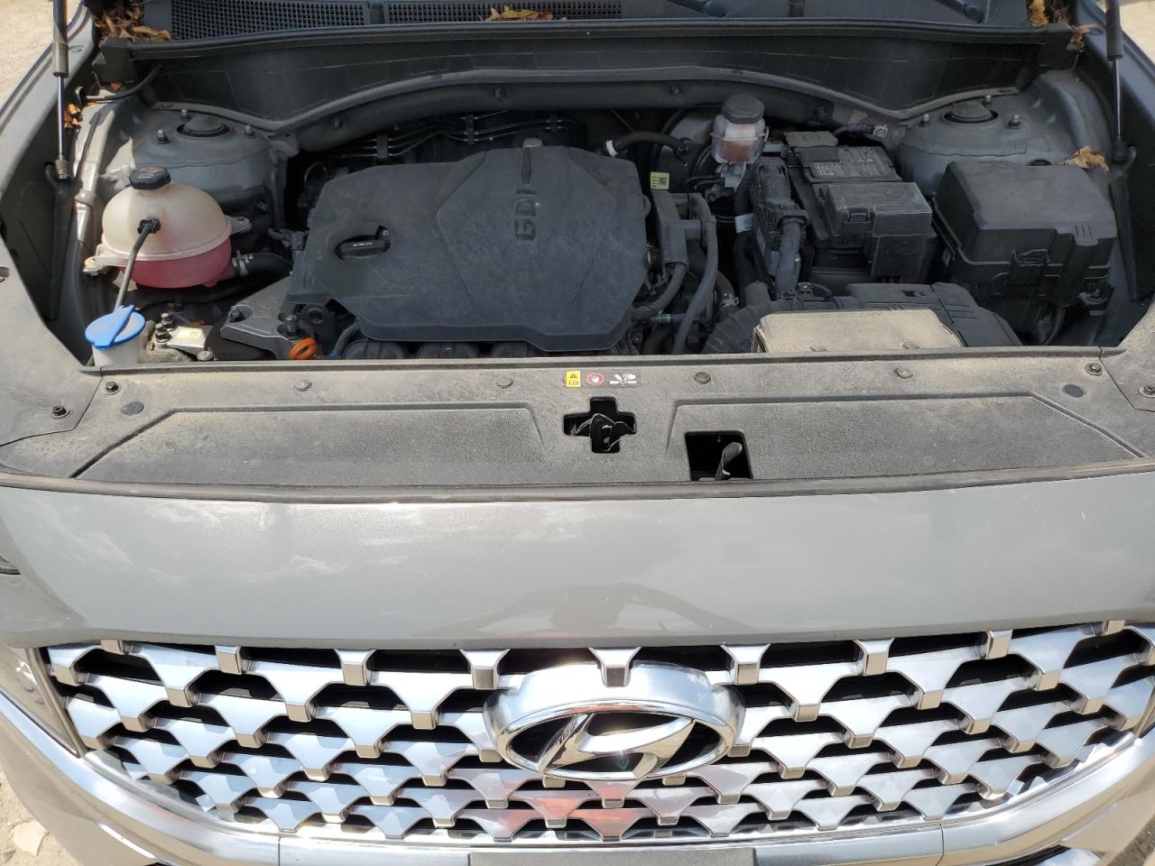 2021 Hyundai Santa Fe Sel VIN: 5NMS24AJ1MH334156 Lot: 62276845