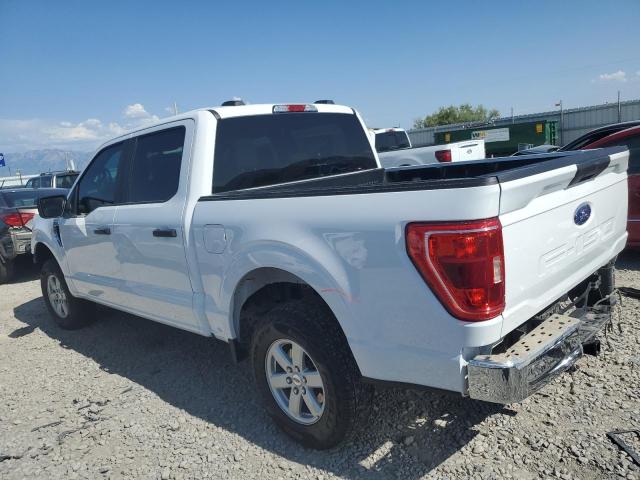  FORD F-150 2023 Белы
