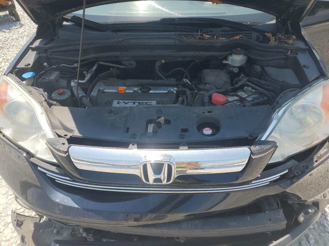 2007 Honda Cr-V Exl VIN: JHLRE48707C010699 Lot: 62199535