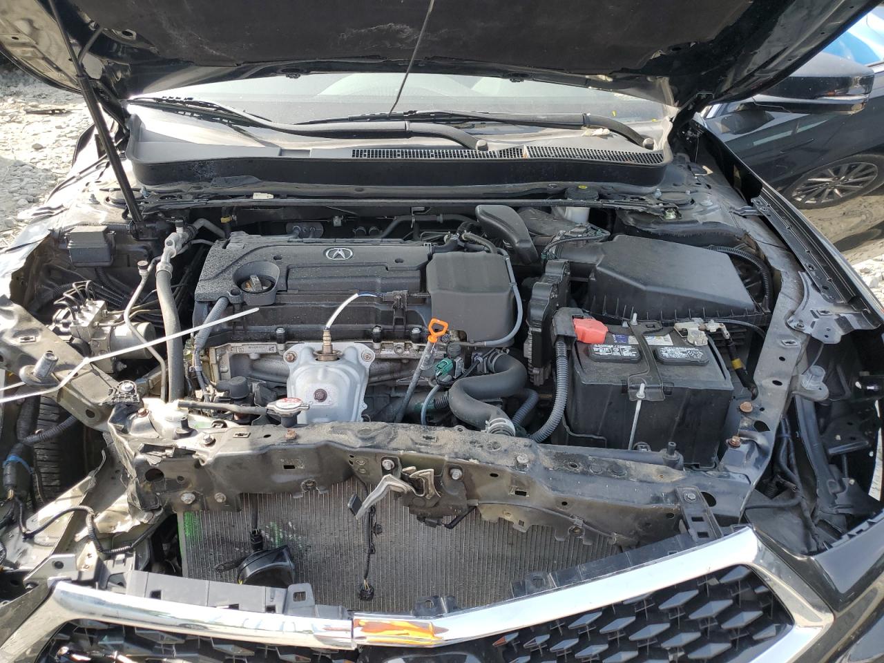 2019 Acura Tlx VIN: 19UUB1F3XKA009290 Lot: 61786685