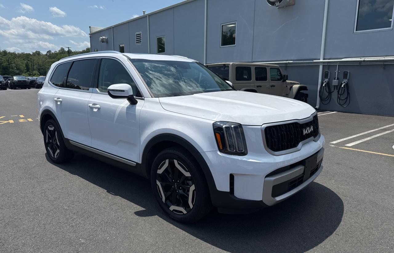 2023 Kia Telluride Ex de vânzare în Hillsborough, NJ - Hail