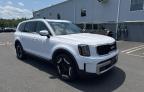 2023 Kia Telluride Ex de vânzare în Hillsborough, NJ - Hail