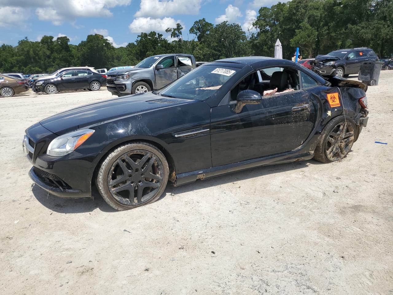 WDDPK4HA8EF076783 MERCEDES-BENZ SLK-CLASS Photo 1