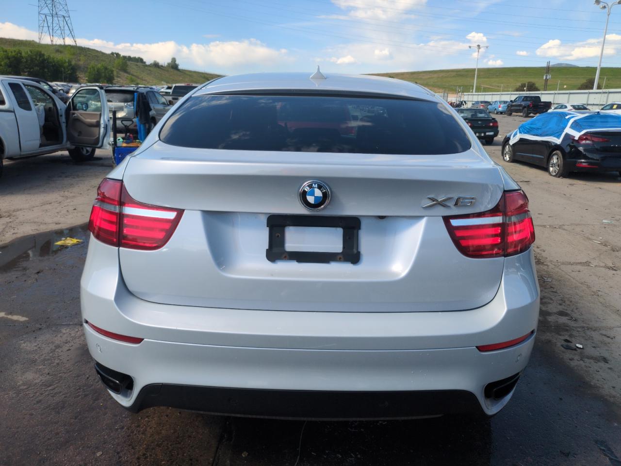2013 BMW X6 xDrive50I VIN: 5UXFG8C54DL591884 Lot: 60642075