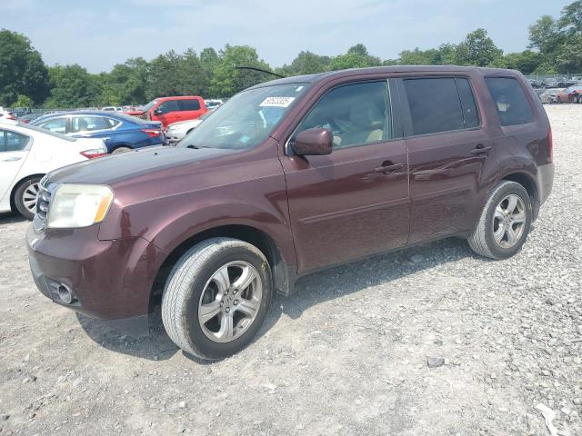  HONDA PILOT 2013 Maroon