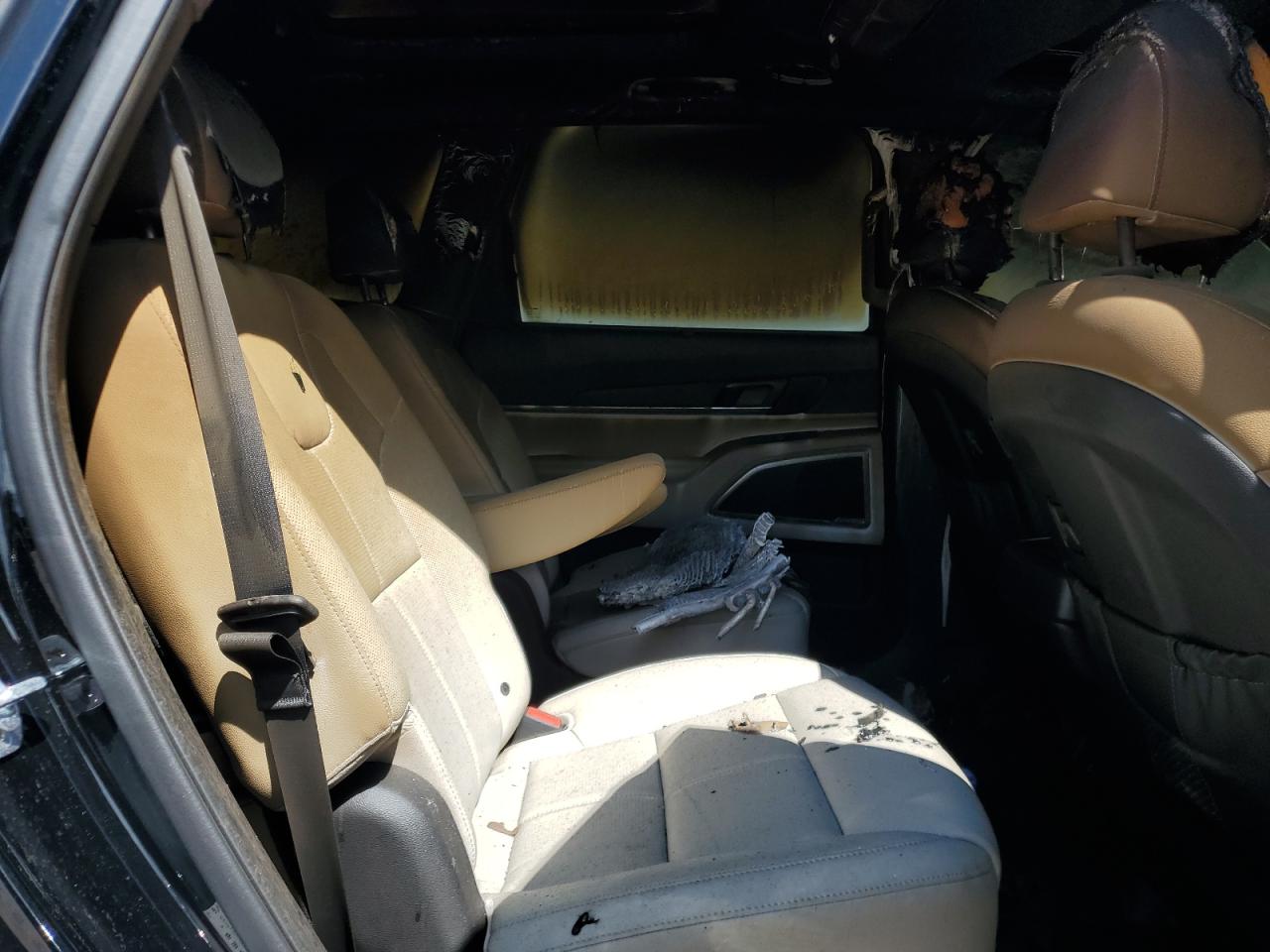 2023 Kia Telluride Sx VIN: 5XYP54GC9PG328612 Lot: 62282635