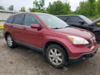 2009 Honda Cr-V Exl en Venta en Woodhaven, MI - Normal Wear