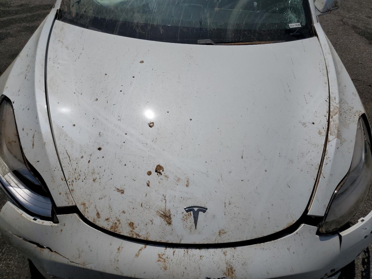 2020 Tesla Model 3 VIN: 5YJ3E1EBXLF636929 Lot: 60095375