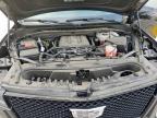 2024 CADILLAC ESCALADE V    for sale at Copart TX - DALLAS SOUTH