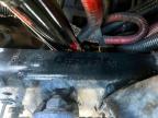 Riverview, FL에서 판매 중인 2014 Freightliner Columbia 112 - Minor Dent/Scratches