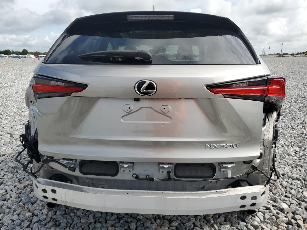 2019 Lexus Nx 300 Base VIN: JTJBARBZ8K2190723 Lot: 60831895