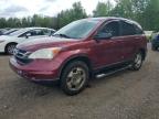 2010 HONDA CR-V LX   for sale at Copart ON - COOKSTOWN