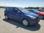 2014 Ford Escape S იყიდება Glassboro-ში, NJ - Front End