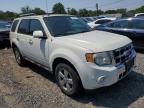 2011 Ford Escape Limited   de vânzare în Hillsborough, NJ - Minor Dent/Scratches