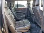2020 CADILLAC ESCALADE ESV LUXURY   à vendre chez Copart TX - SAN ANTONIO