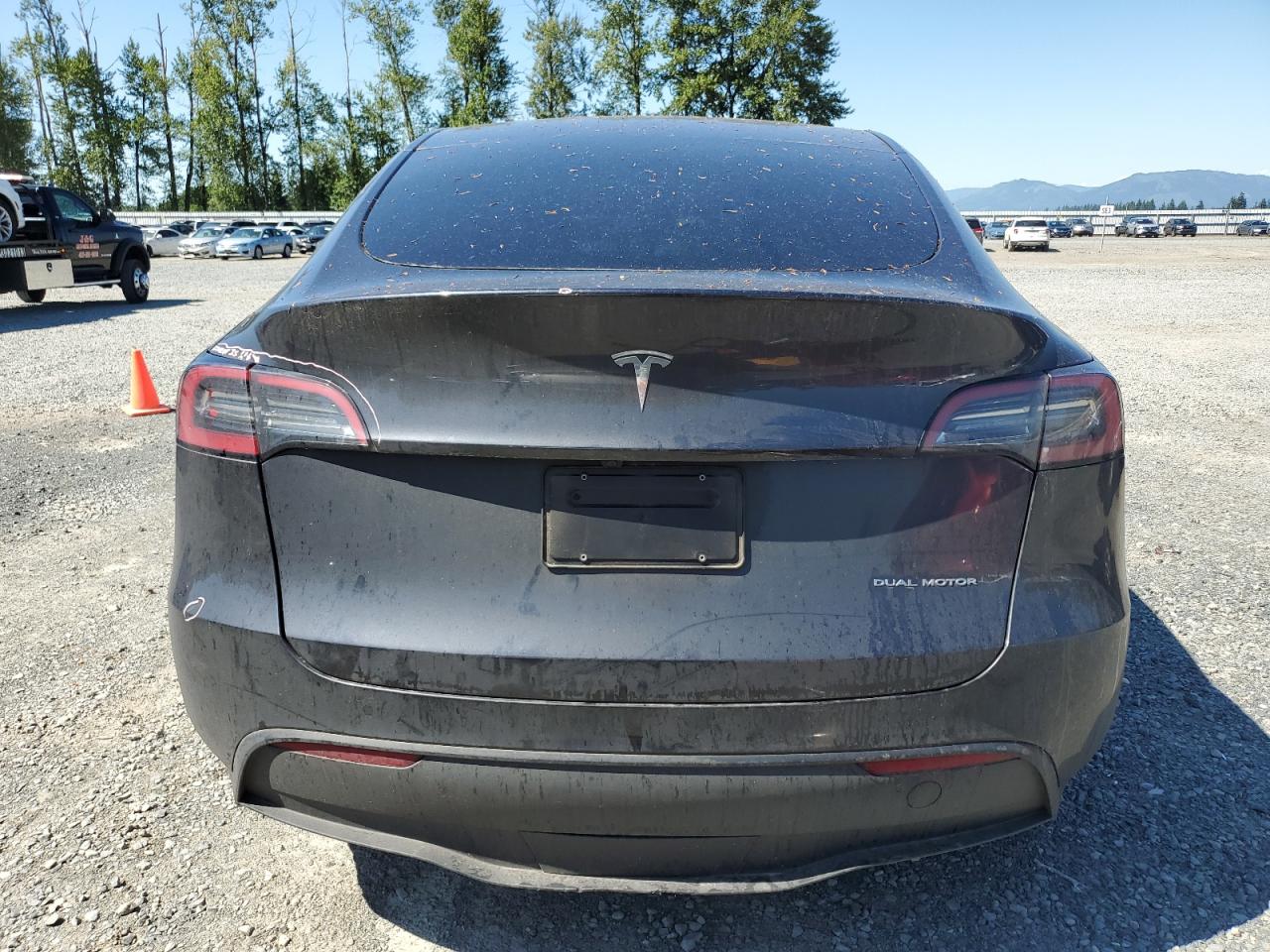 2024 Tesla Model Y VIN: 7SAYGDEE2RF064343 Lot: 62537265