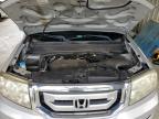 2009 Honda Pilot Exl   zu verkaufen in Waldorf, MD - Minor Dent/Scratches