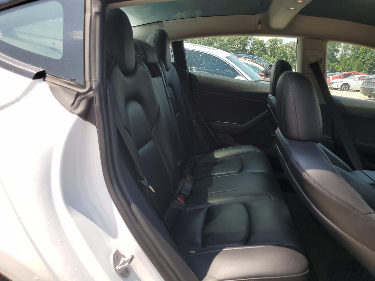 2023 Tesla Model 3 VIN: 5YJ3E1EA7PF447006 Lot: 62788355