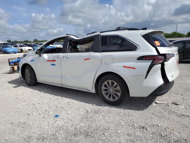 2023 TOYOTA SIENNA XLE  