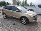 2013 Ford Escape Se продається в Wayland, MI - Front End