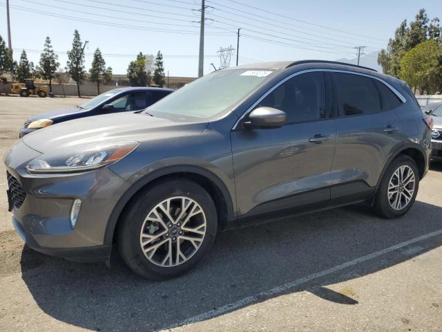  FORD ESCAPE 2022 Gray