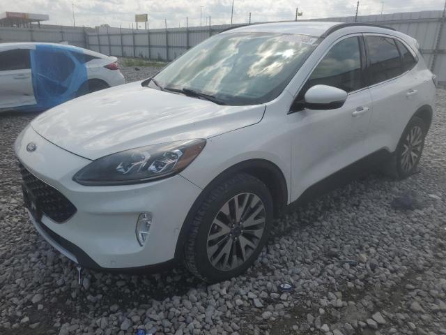  FORD ESCAPE 2020 Белы