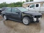 2019 Toyota Camry L zu verkaufen in Pekin, IL - Front End