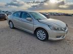 2013 Honda Accord Exl продається в Amarillo, TX - Front End