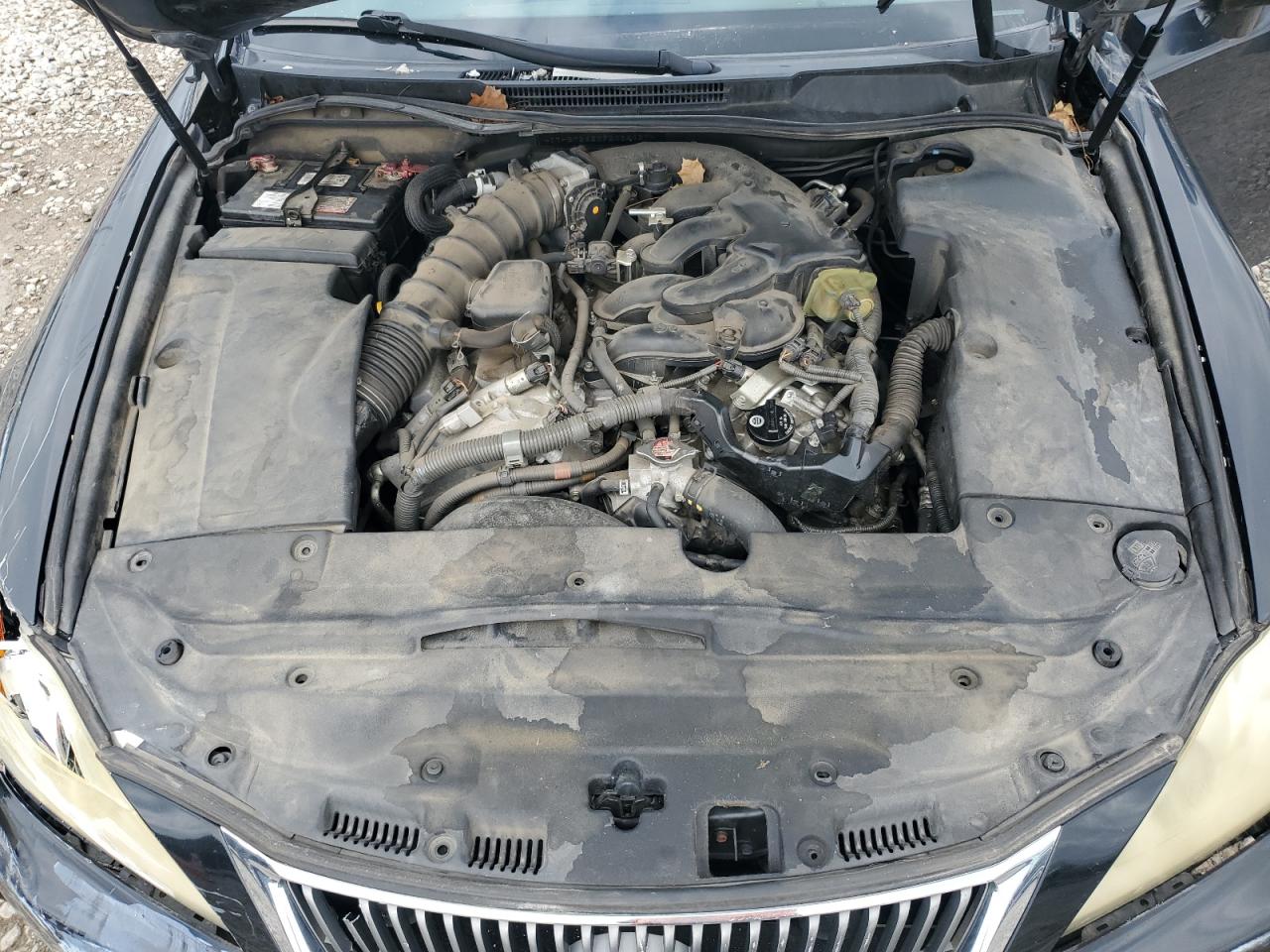 2009 Lexus Is 250 VIN: JTHBK262392086427 Lot: 61462435