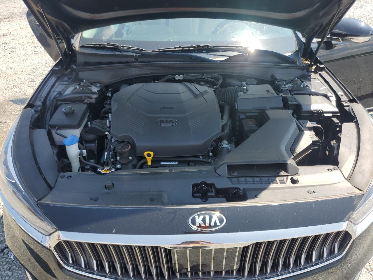 2017 Kia Cadenza Premium VIN: KNALC4J10H5064912 Lot: 62756835