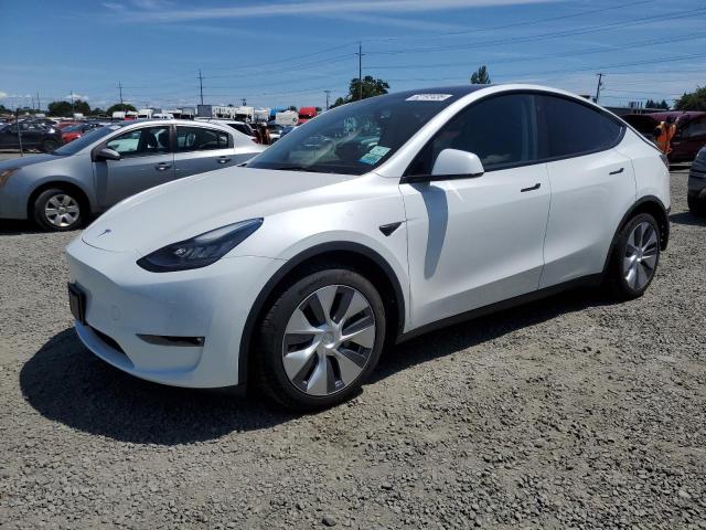  TESLA MODEL Y 2021 Biały