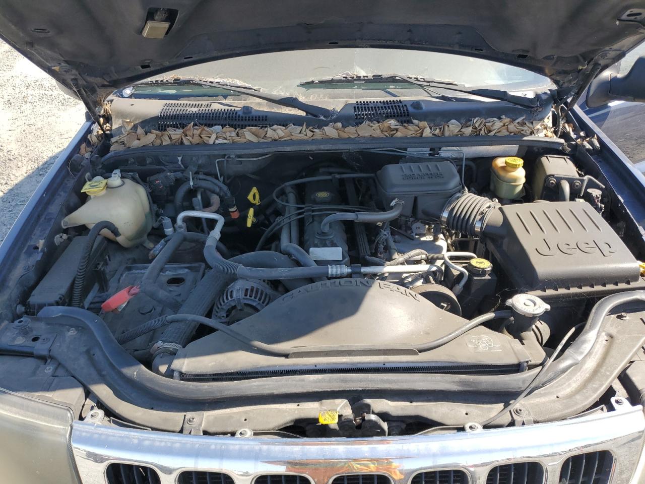 2001 Jeep Grand Cherokee Laredo VIN: 1J4GX48S91C736727 Lot: 62941485