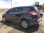 Albuquerque, NM에서 판매 중인 2013 Ford Escape Sel   - Rear End
