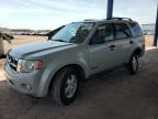 2008 Ford Escape Xlt en Venta en Phoenix, AZ - Rear End