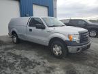 2009 FORD F150    for sale at Copart NS - HALIFAX