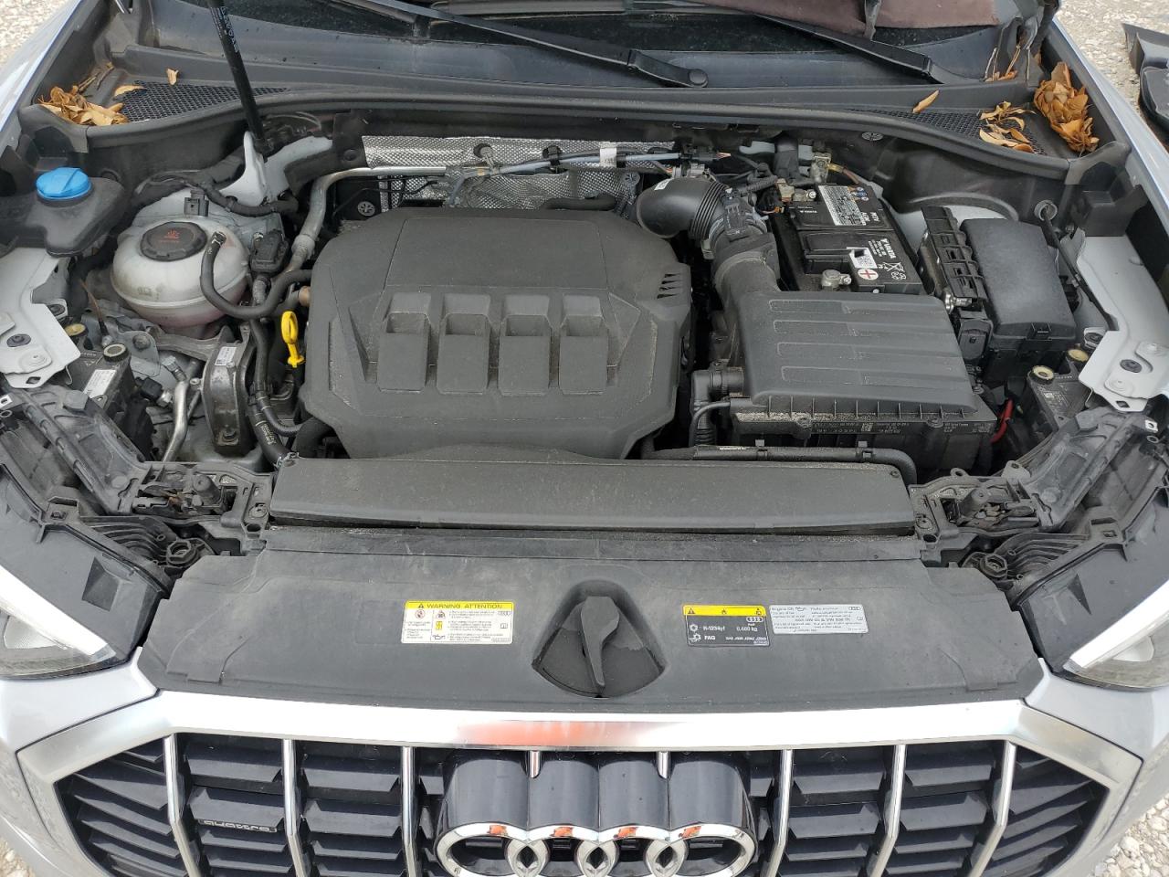 2021 Audi Q3 Premium 40 VIN: WA1AUCF36M1127020 Lot: 61835465