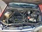 2010 Ford Escape Xlt for Sale in Temple, TX - Front End