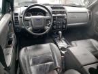 2011 Ford Escape Limited на продаже в New Orleans, LA - All Over