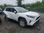 2021 Toyota Rav4 Xle იყიდება Baltimore-ში, MD - All Over