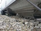 2009 Timp Hopper for Sale in Rogersville, MO - Rear End