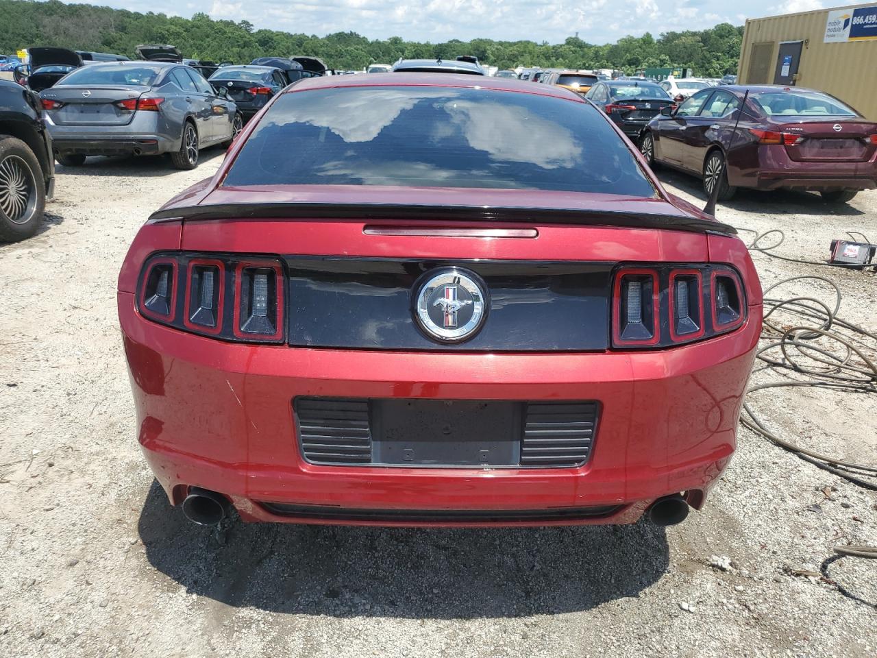 2014 Ford Mustang VIN: 1ZVBP8AM3E5325320 Lot: 61002985