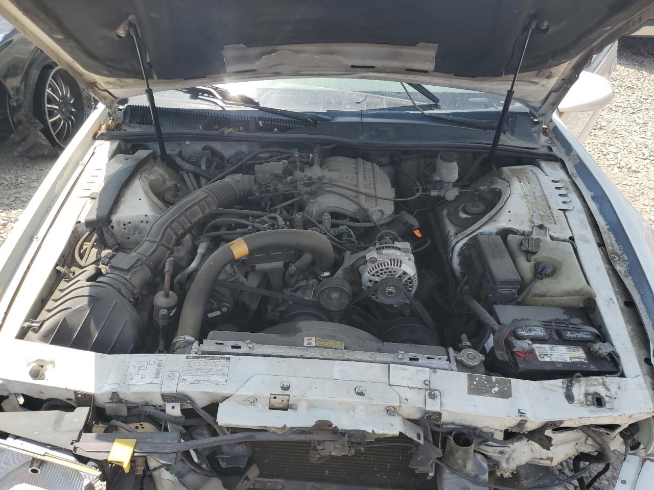 1996 Ford Thunderbird Lx VIN: 1FALP6248TH120488 Lot: 61911275