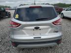 2014 Ford Escape Se for Sale in Memphis, TN - Normal Wear