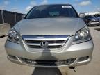 2006 Honda Odyssey Exl на продаже в Orlando, FL - Front End
