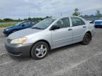 2005 TOYOTA COROLLA CE   for sale at Copart ON - OTTAWA