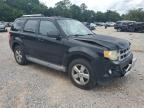 2010 Ford Escape Limited for Sale in Eight Mile, AL - Front End