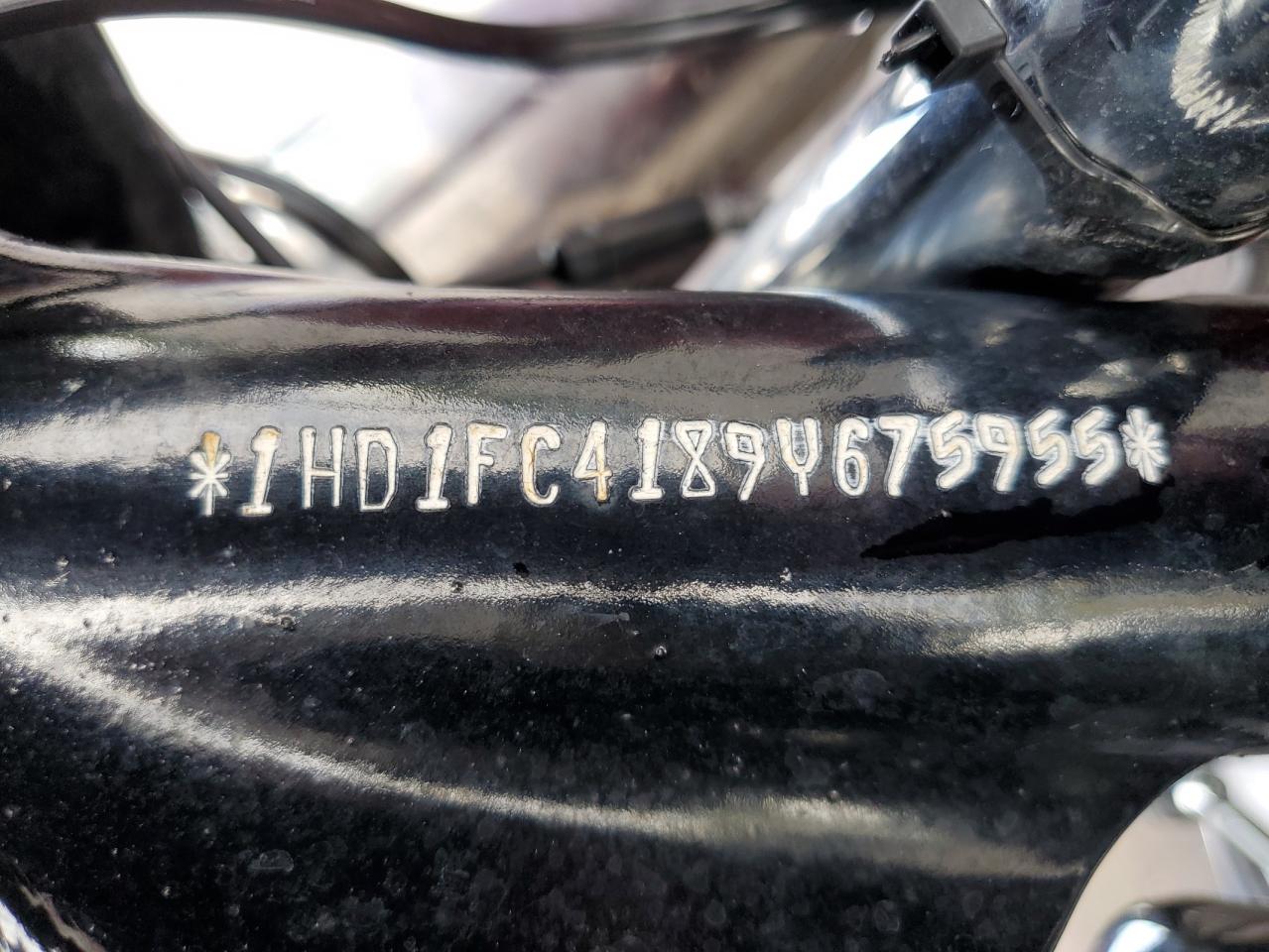2009 Harley-Davidson Flhtcu VIN: 1HD1FC4189Y675955 Lot: 61179705
